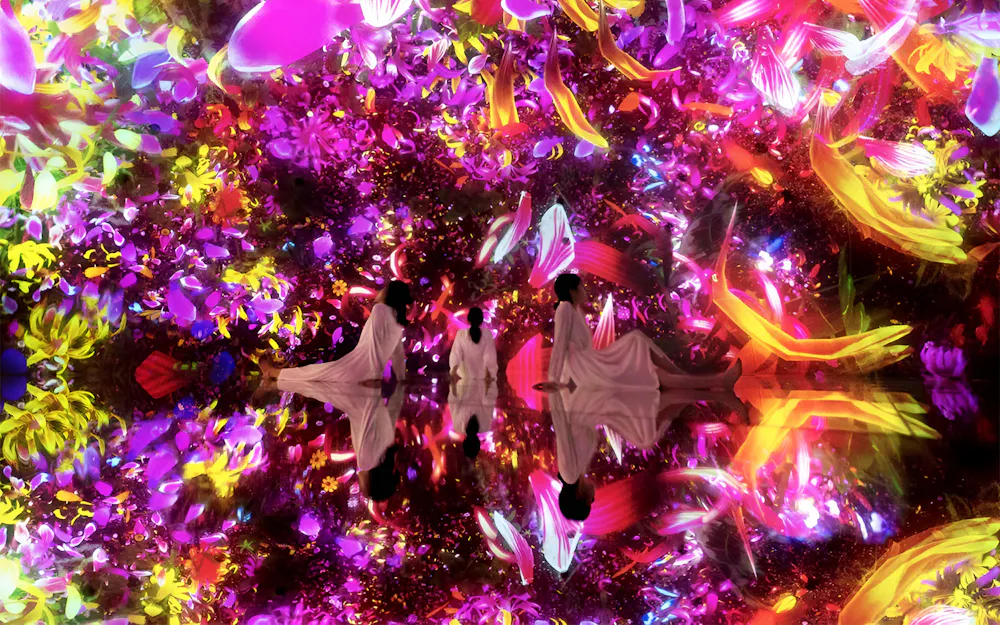 Biglietti Salta la Fila per teamLab Planets [Premium Pass]