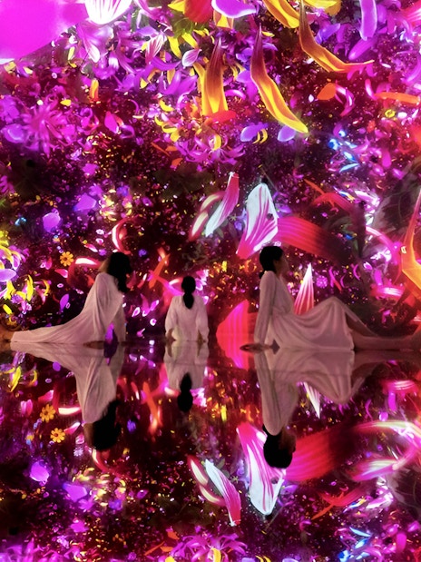 Visitors in immersive digital art installation at TeamLab Planets Tokyo.