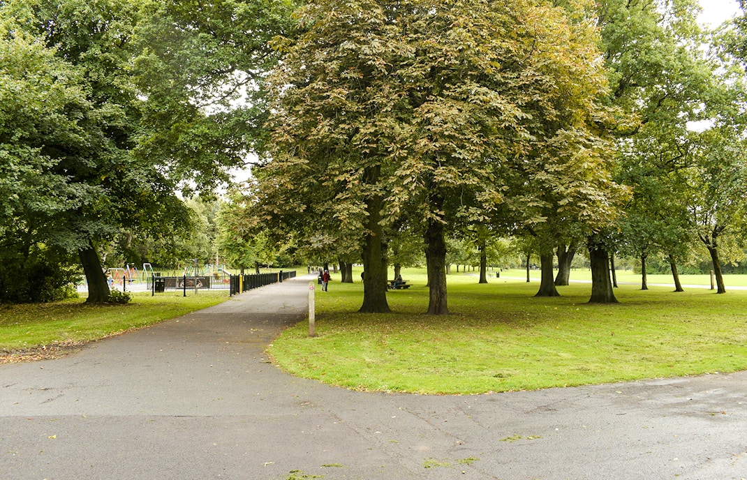 Ormeau Park alley lined with trees in Belfast.