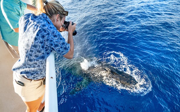 Photographer capturing humpback whale surfacing in Maui, Hawaii.