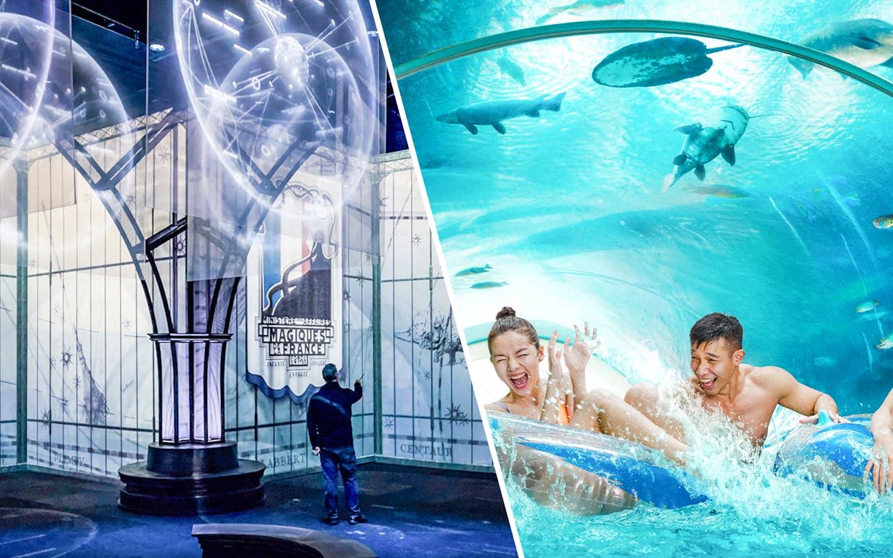 Visitors at Harry Potter Visions of Magic exhibit and Adventure Cove Waterpark tube ride.