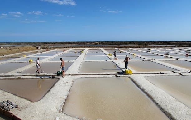 Salt pans with workers in Eastern Algarve during a guided tour.