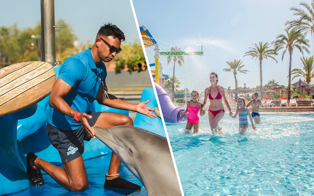 Dolphin trainer interacting with a dolphin at Marineland Mallorca.
