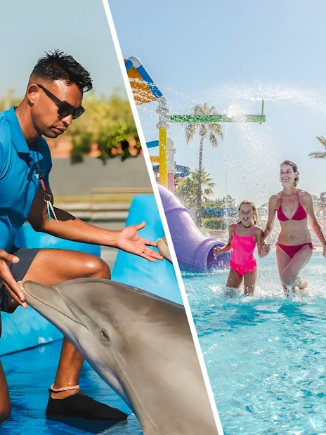 Dolphin trainer interacting with a dolphin at Marineland Mallorca.