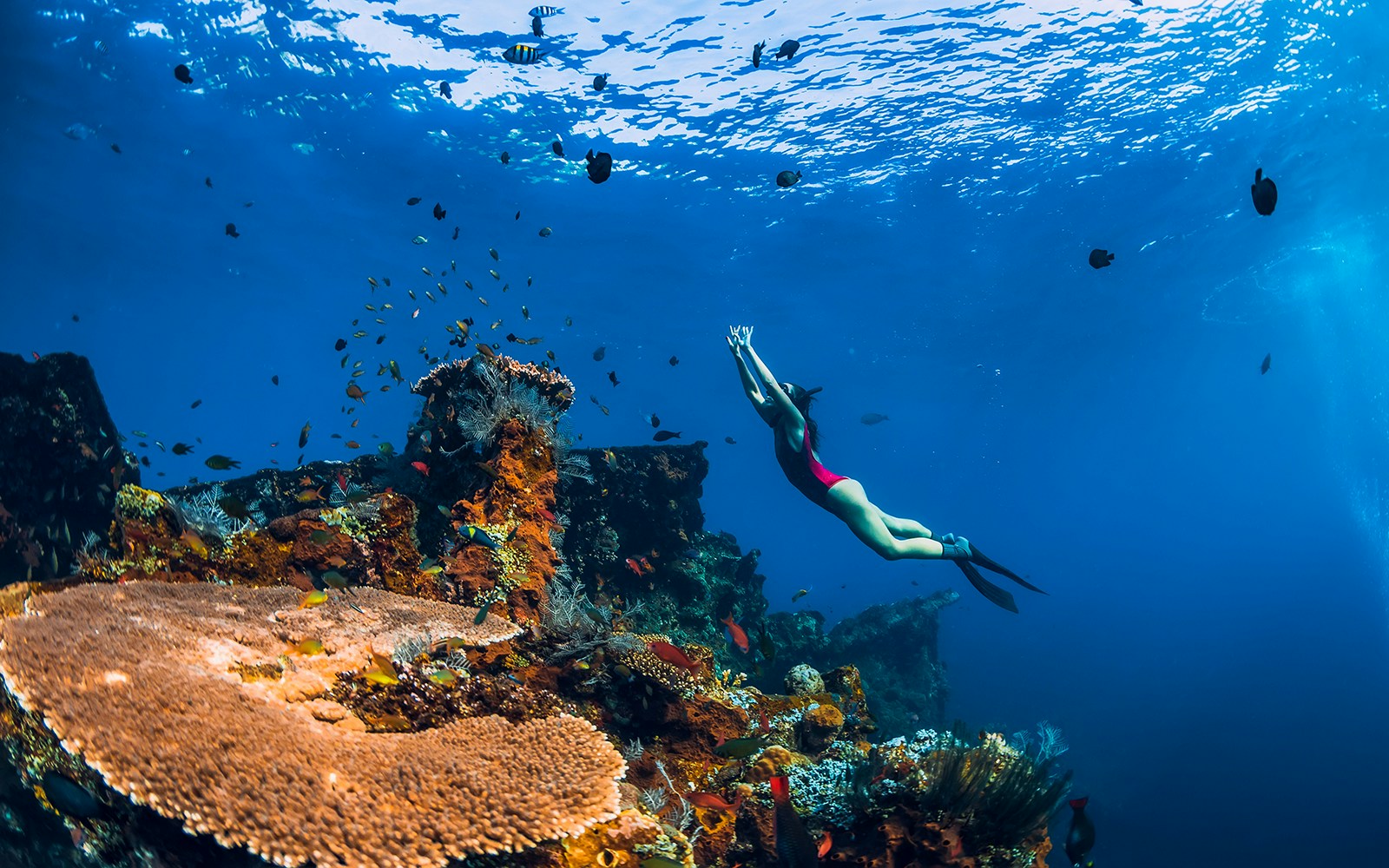 Snorkeling near shipwreck at Wreck Beach, exploring underwater marine life.
