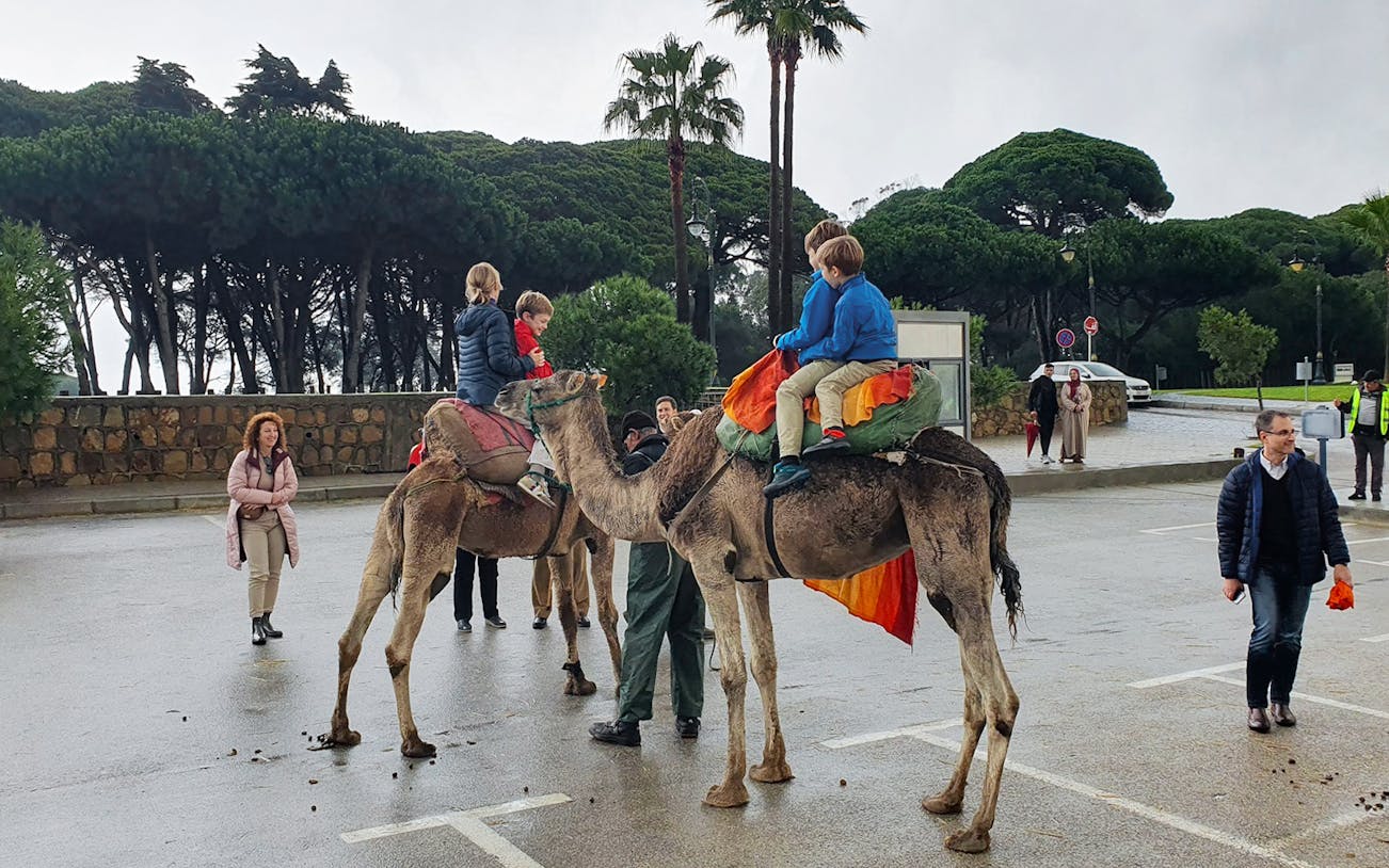 Children riding camels during a day trip to Tangier from Málaga.