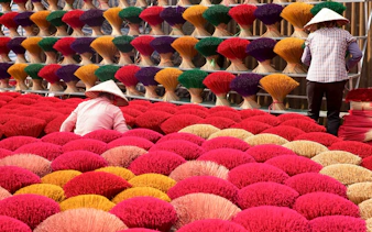 Incense sticks drying in a Hanoi village, part of the Hanoi City Tour.