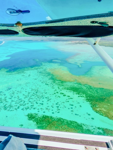 Aerial view of the Eastern Underwater Waterfall from a seaplane, Mauritius.