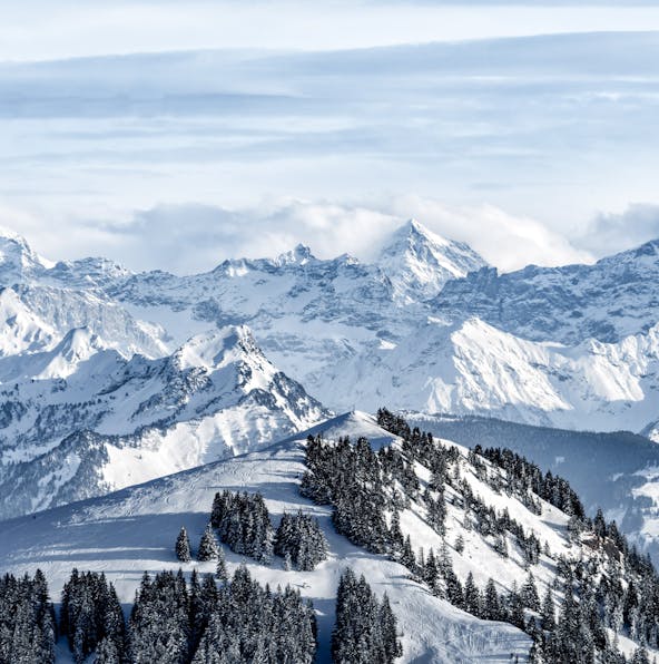 Discover the beauty of Switzerland’s alpine wonderland, Mount Rigi