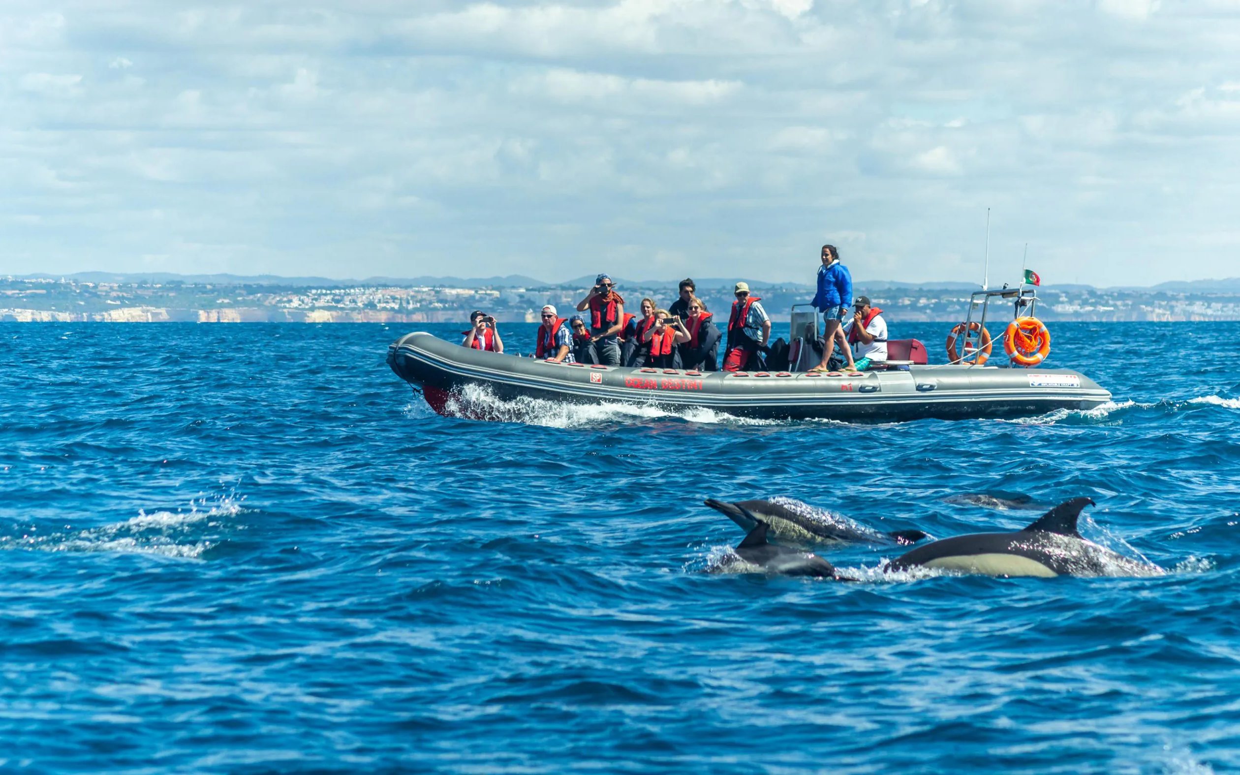 Tourists on RIB boat watching dolphins near Benagil Caves, Portugal.