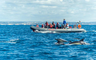 Tourists on RIB boat watching dolphins near Benagil Caves, Portugal.