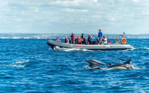 Tourists on RIB boat watching dolphins near Benagil Caves, Portugal.