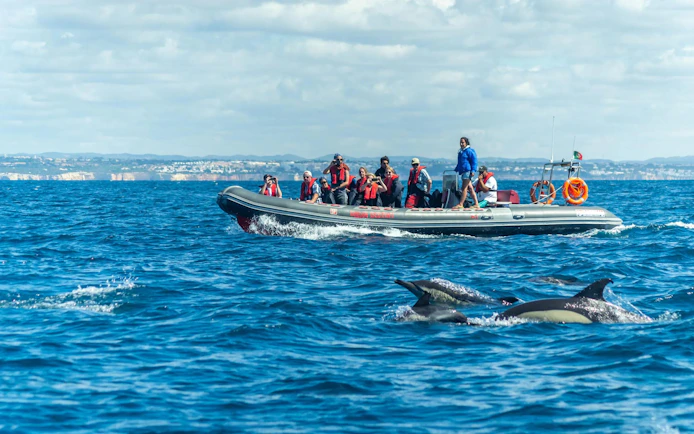 Tourists on RIB boat watching dolphins near Benagil Caves, Portugal.
