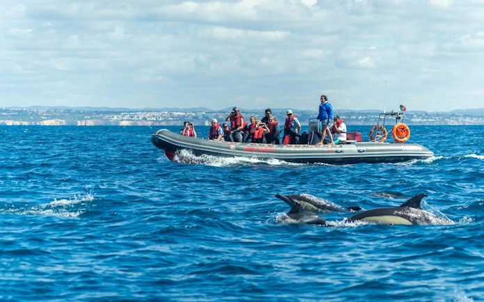 Tourists on RIB boat watching dolphins near Benagil Caves, Portugal.