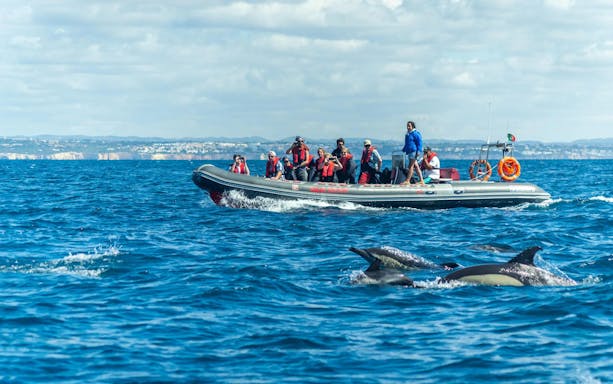 Tourists on RIB boat watching dolphins near Benagil Caves, Portugal.