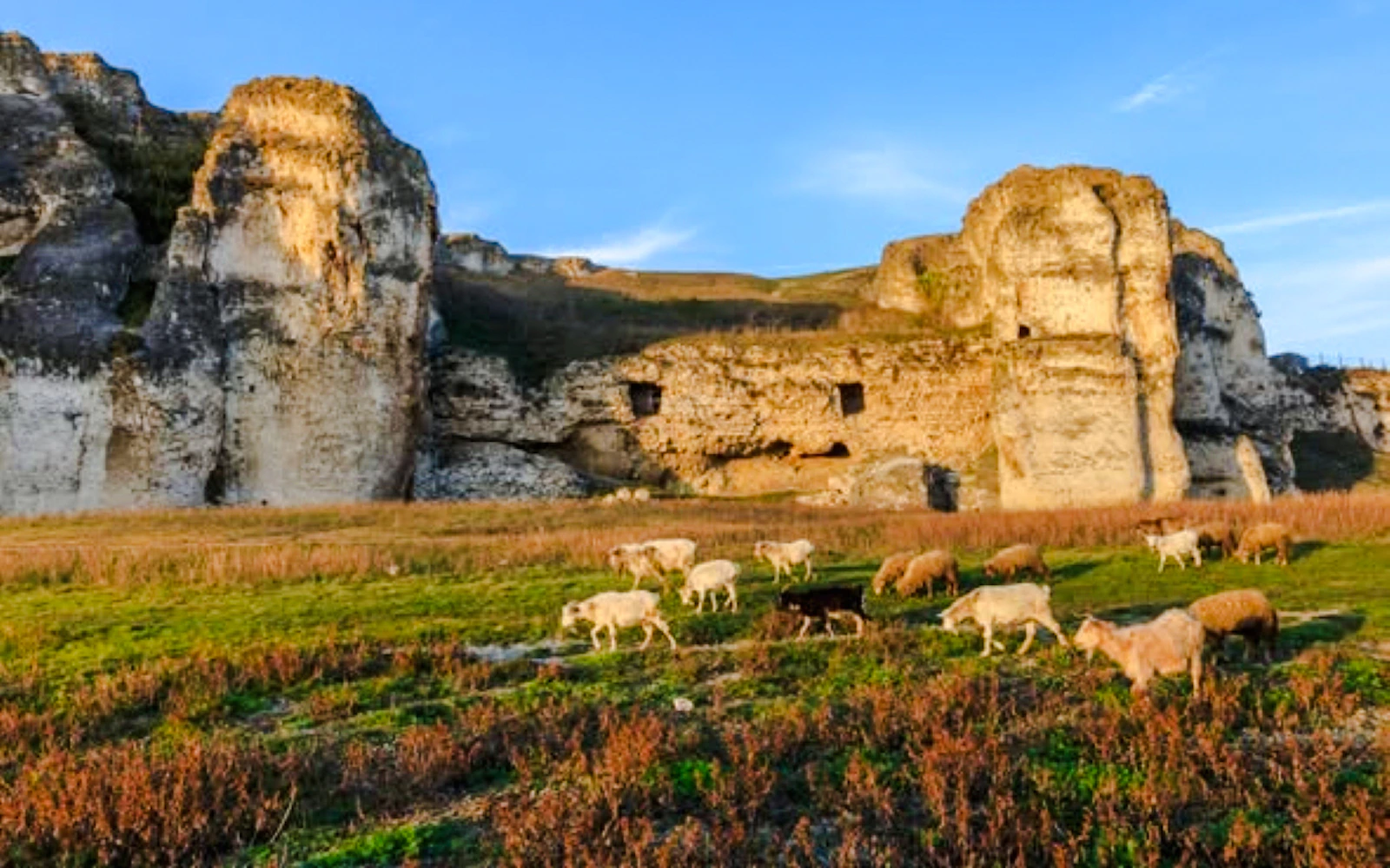 From Constanta: Carsium & Capidava Fortresses Day Trip with Lunch and Wine Tasting Image 7