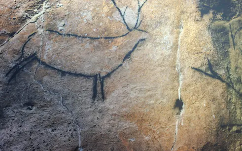 Cave drawings of animals in Castillo Caves, Spain.