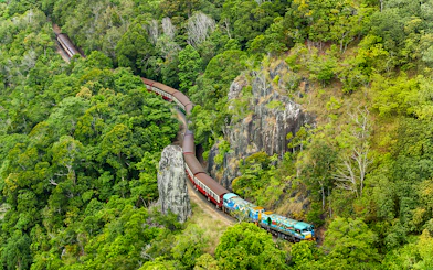 Kuranda Scenic Railway winding through lush rainforest in Queensland.