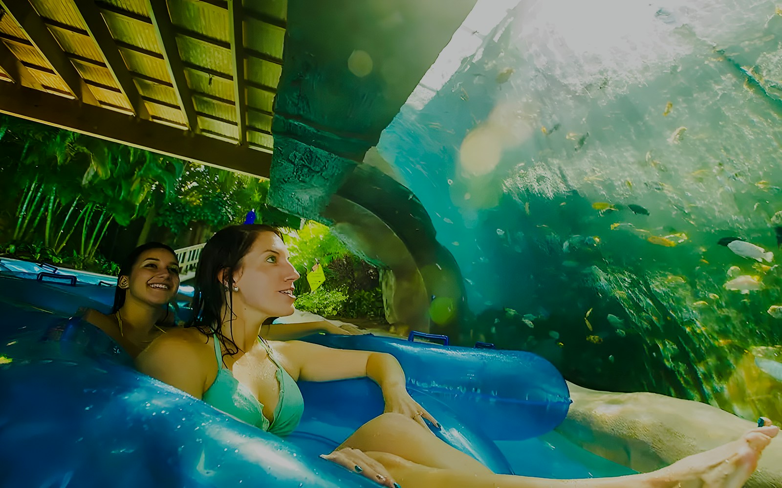 Two people on a lazy river ride at Aquatica Orlando, viewing underwater fish.