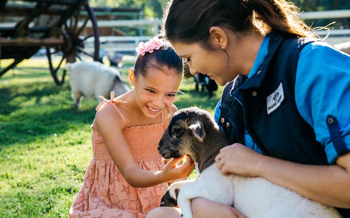 Girl petting baby sheep at Paradise Country animal nursery, Gold Coast.