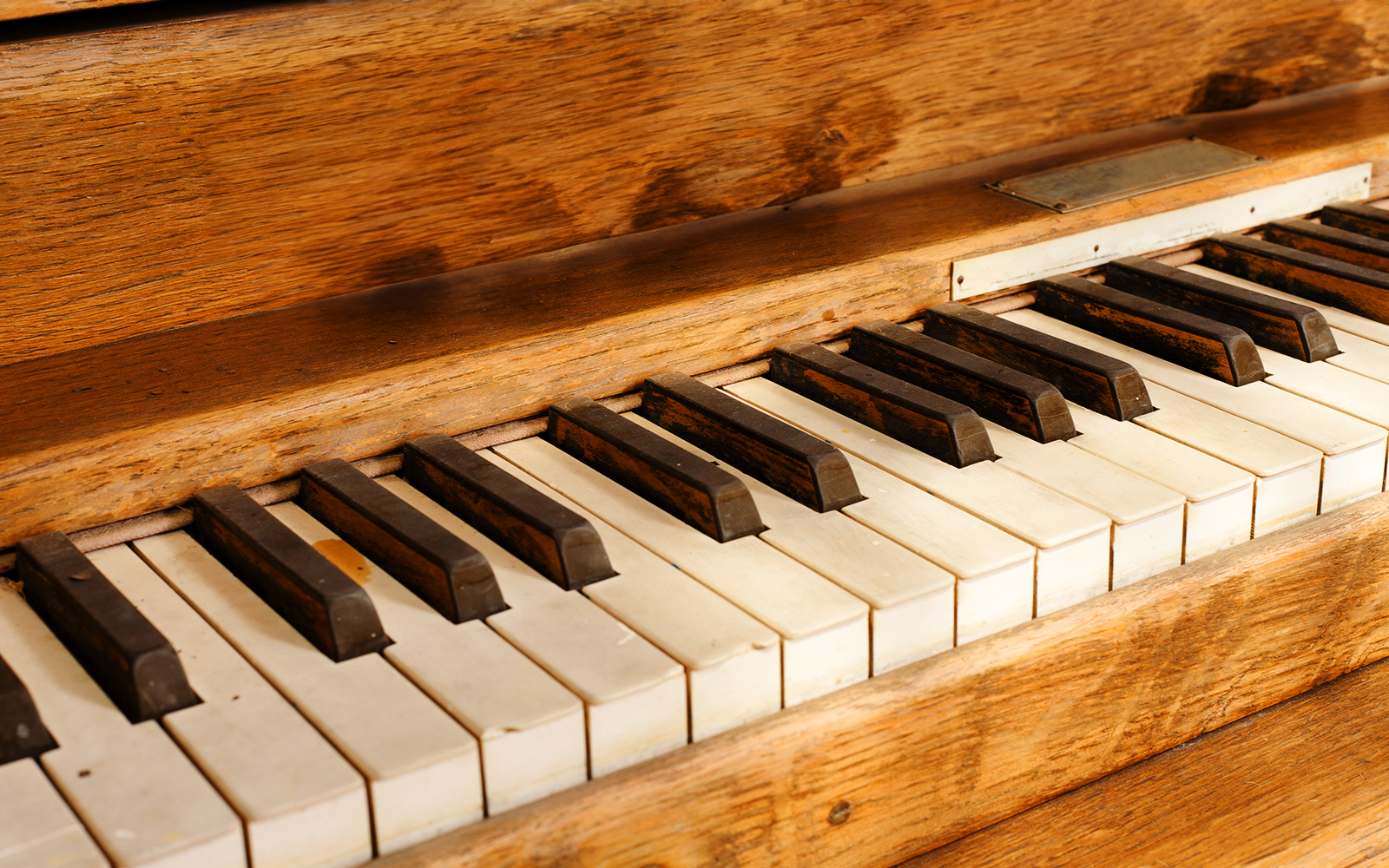 Ingressos para o Museu Leonardo3.