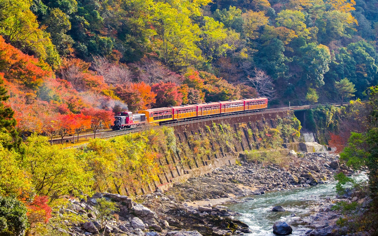 Sagano Romantic Train passing through autumn foliage in Kyoto during day tour from Osaka Namba.