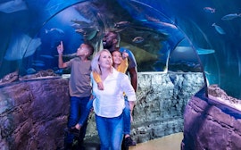 SEA LIFE London Aquarium