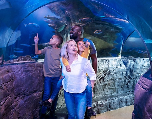 London Travel Guide - Top 10 Things to do in London