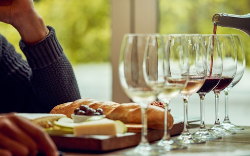 Wine tasting with bread and cheese platter at a Polish vineyard.