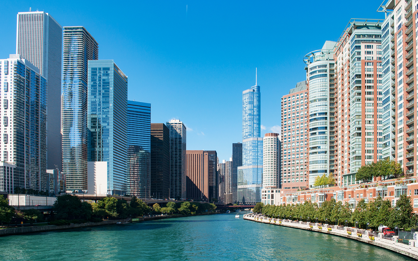 Chicago skyline along the river viewed from the 90 Min Chicago River Architecture Cruise.