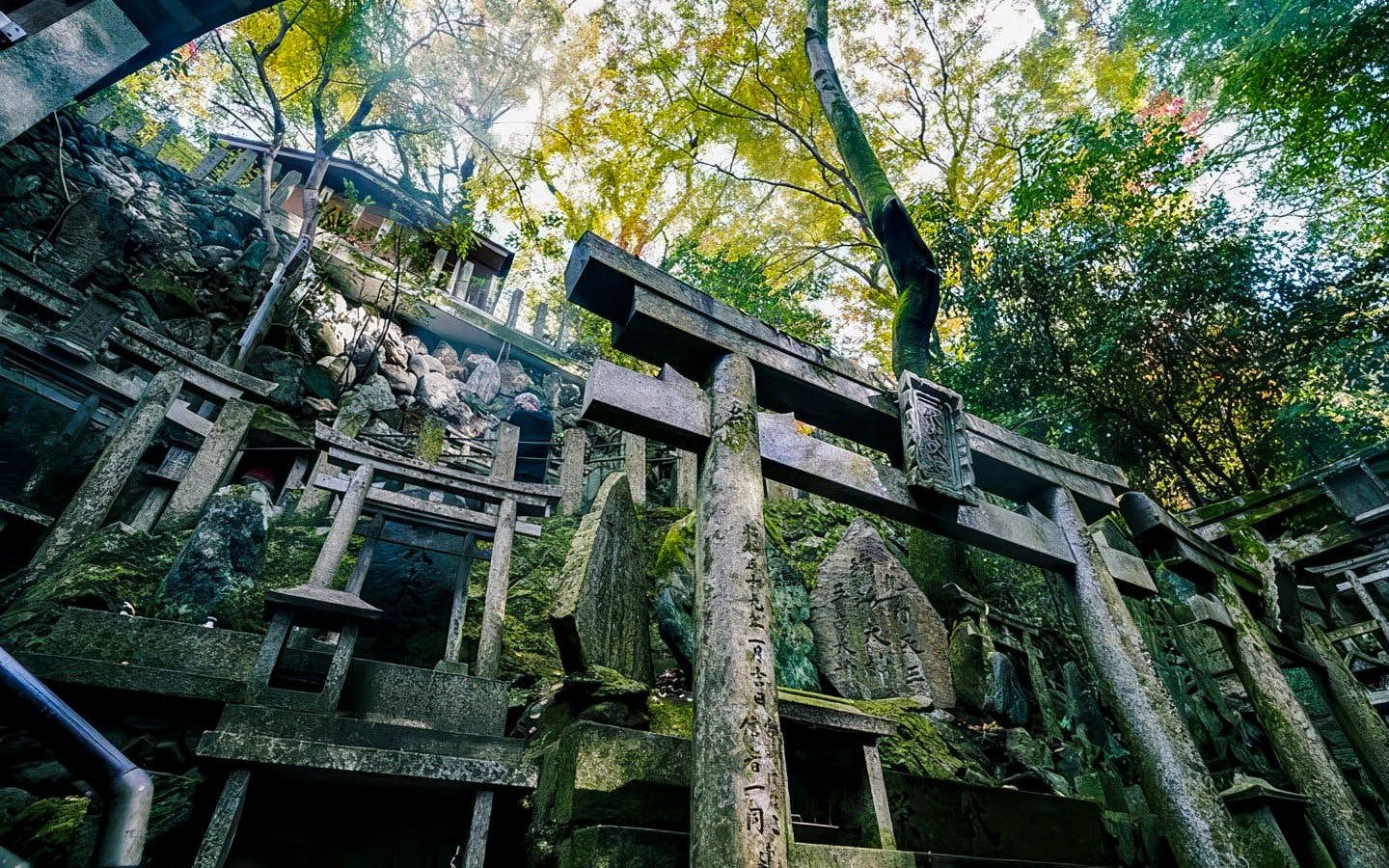 cachoeira escondida de fushimi inari, em kyoto: experiência do ritual sagrado de takigyo-3