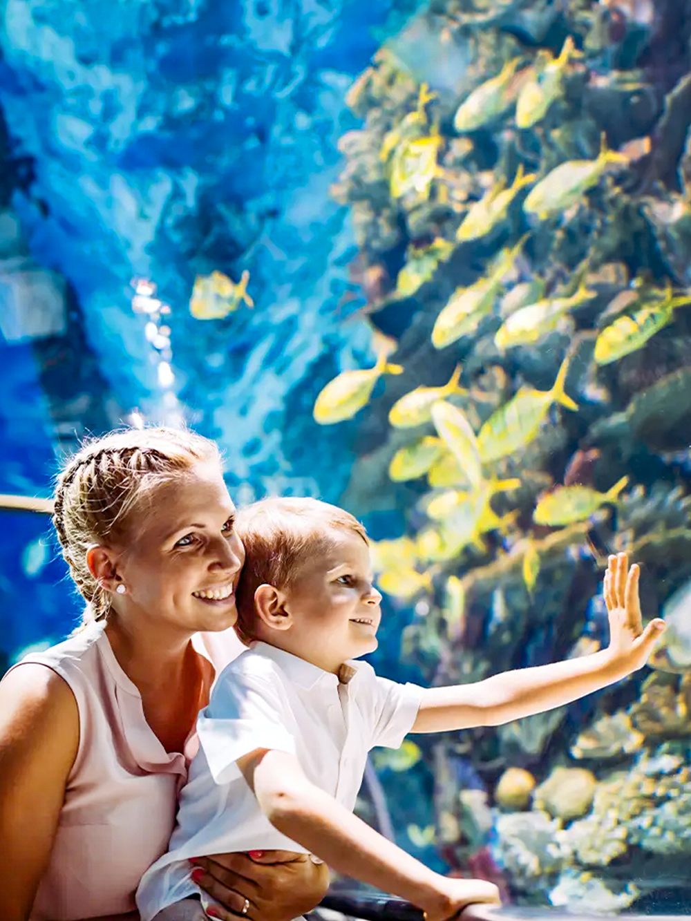 Acquario Emaar di Istanbul