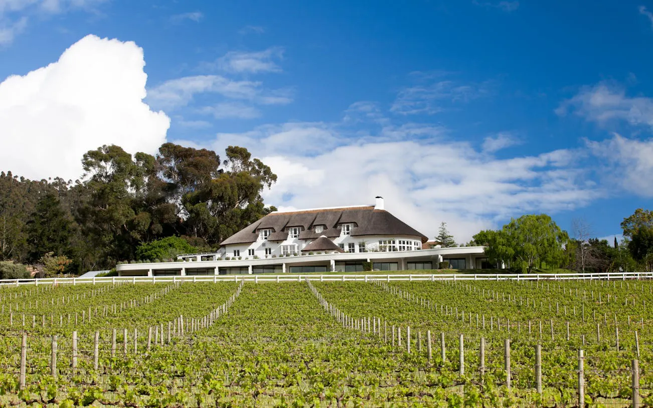 cape town'dan: stellenbosch ve franschhoek'e şarap tadımı ve rehberli ziyaretler i̇çeren cape winelands turu-8