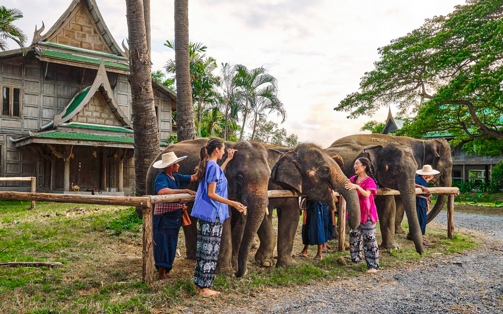 Visitors interacting with elephants at Bangkok Elephant Park, Thailand.