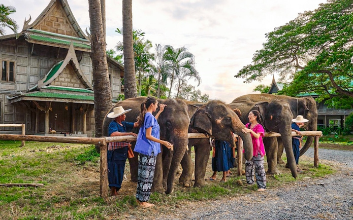 Visitors interacting with elephants at Bangkok Elephant Park, Thailand.