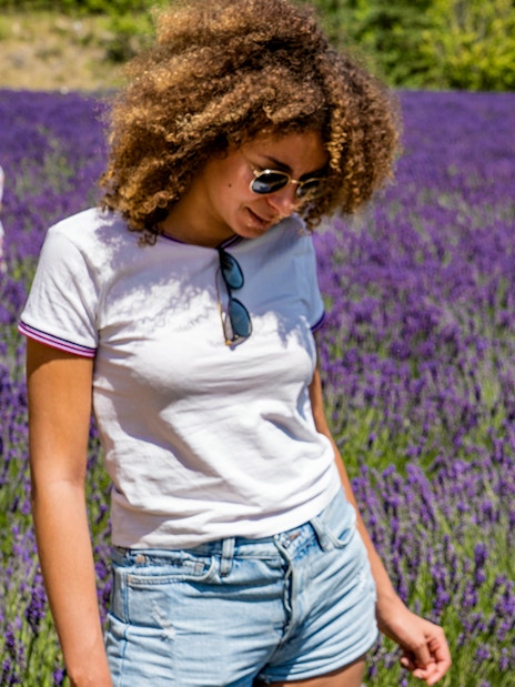 Visitors exploring a lavender field in Sault or Valensole during a full-day tour.