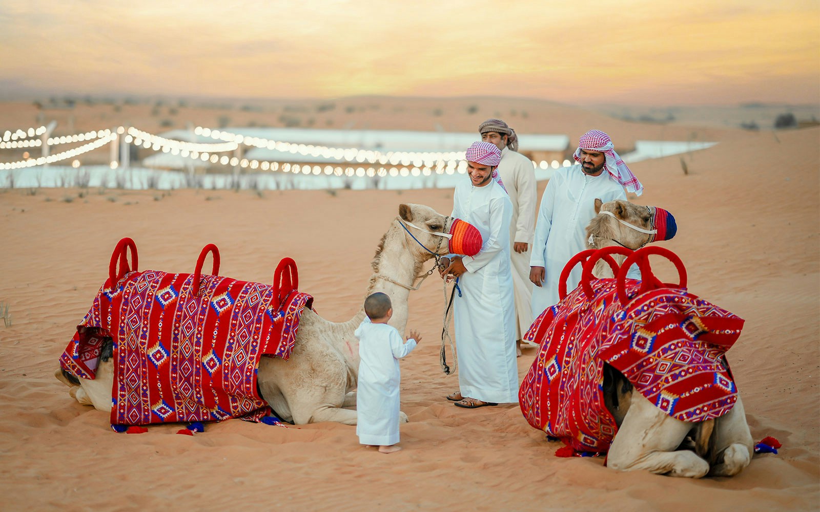 Child petting camel during 57 Heritage Desert Safari in Vintage Land Rover.