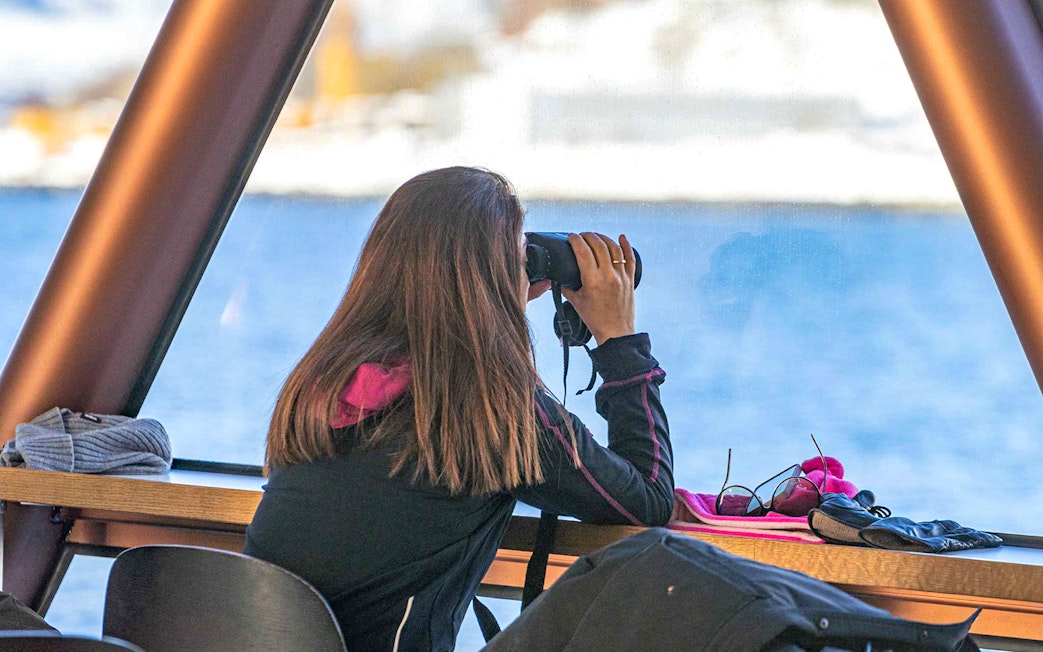 Person using binoculars on Arctic fjord cruise from Tromso.