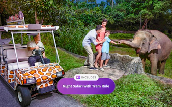 Family feeding elephant during Night Safari Singapore tram ride.