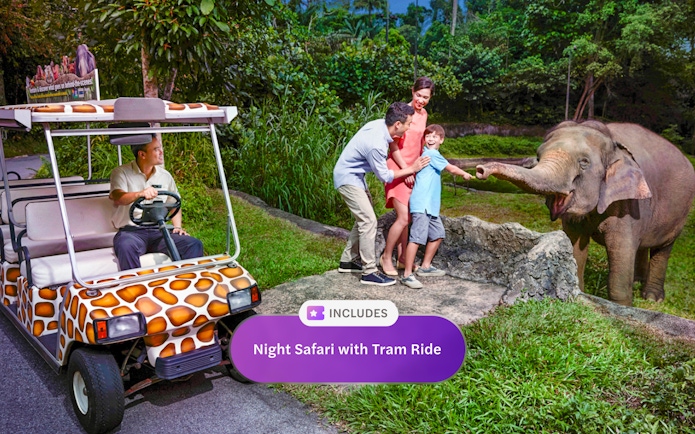 Family feeding elephant during Night Safari Singapore tram ride.