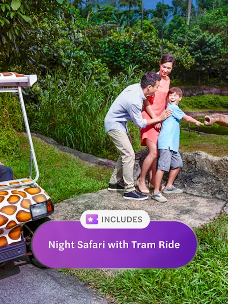 Family feeding elephant during Night Safari Singapore tram ride.