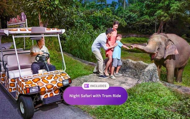 Family feeding elephant during Night Safari Singapore tram ride.