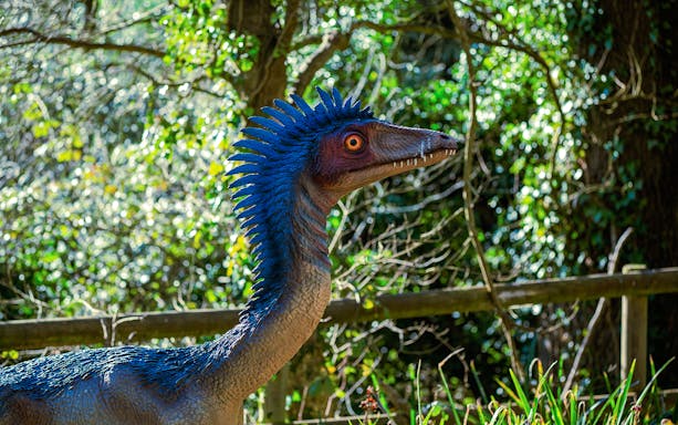 Dinosaur replica with blue spines in a forest setting.