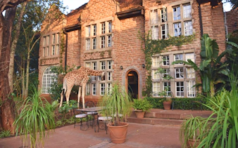 Giraffe looking through window of Karen Blixen house in Nairobi.