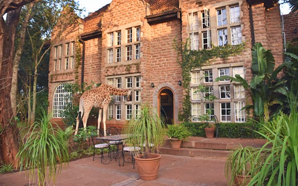 Giraffe looking through window of Karen Blixen house in Nairobi.
