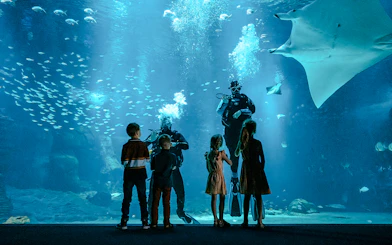 Children observing divers and marine life at Nausicaá aquarium, Paris, France.
