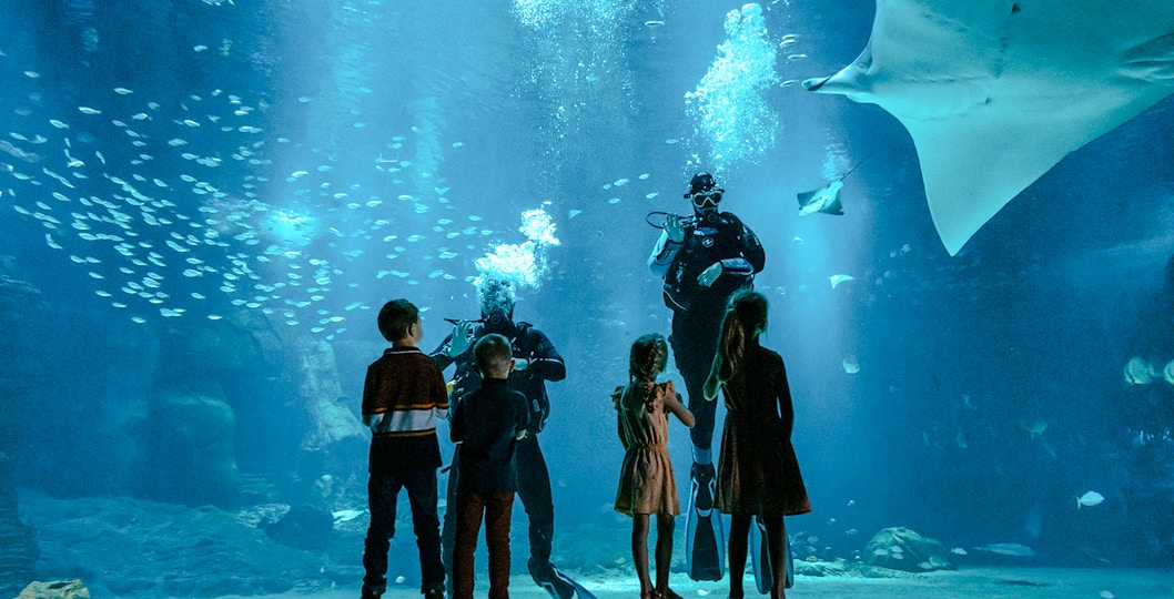 Children observing divers and marine life at Nausicaá aquarium, Paris, France.
