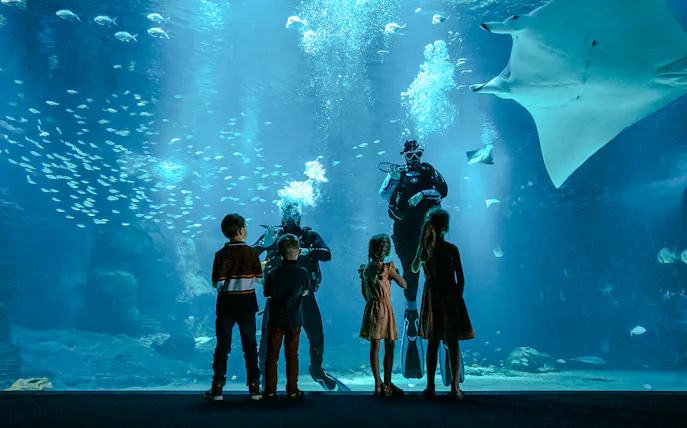 Children observing divers and marine life at Nausicaá aquarium, Paris, France.