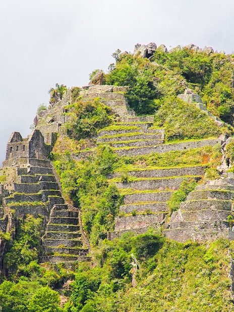 Wayna Picchu terraces and ruins at Machu Picchu, Peru.