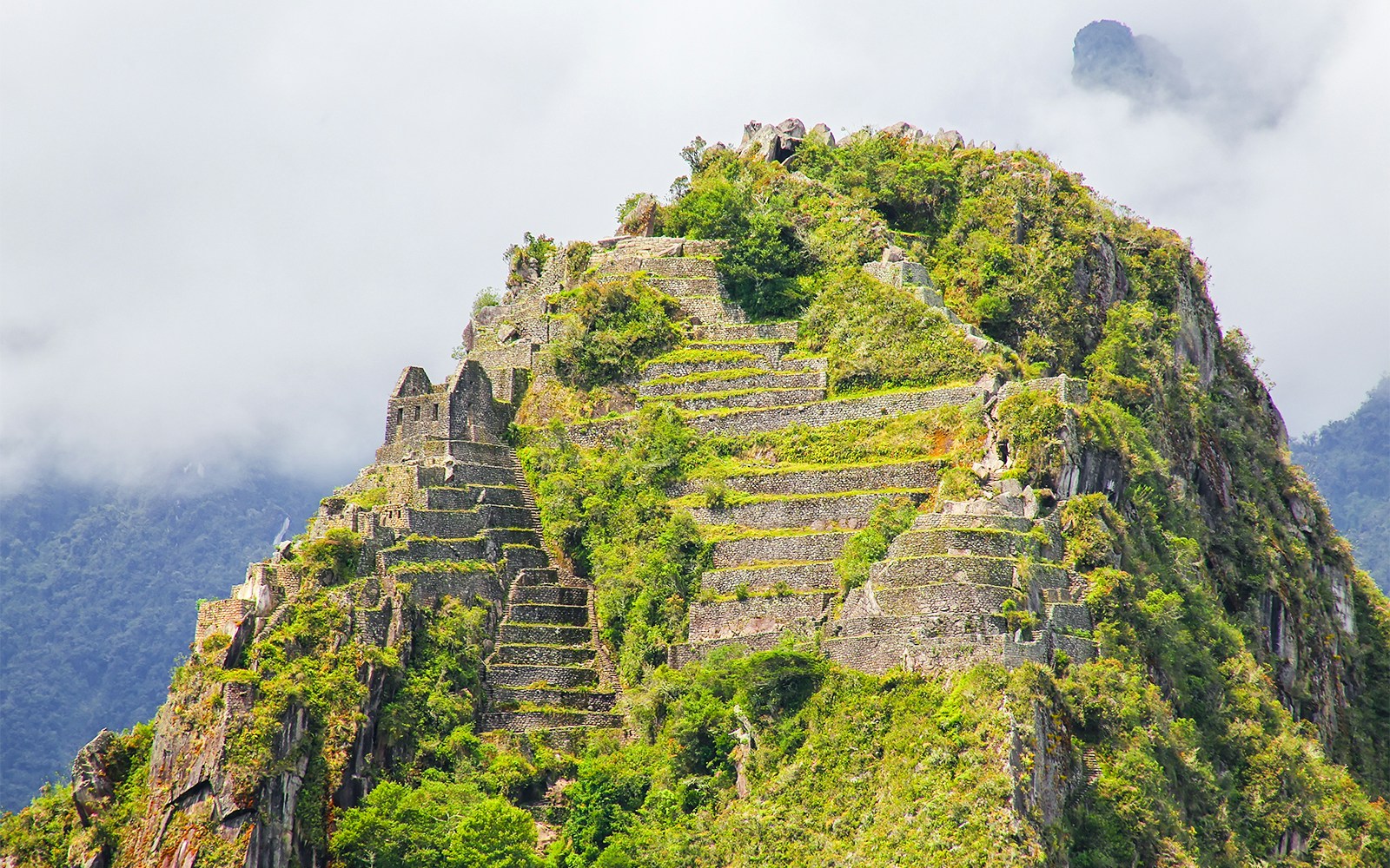 Hikers ascending Wayna Picchu with Machu Picchu ruins in the background, Peru.